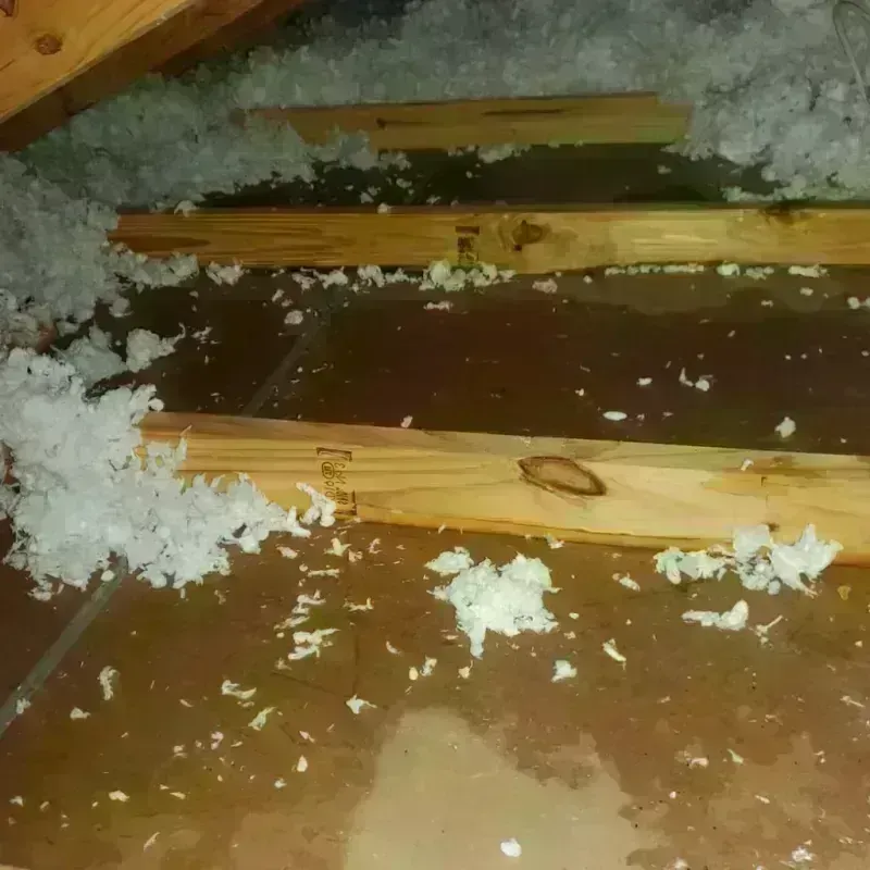 Attic Water Damage in Hillview, KY